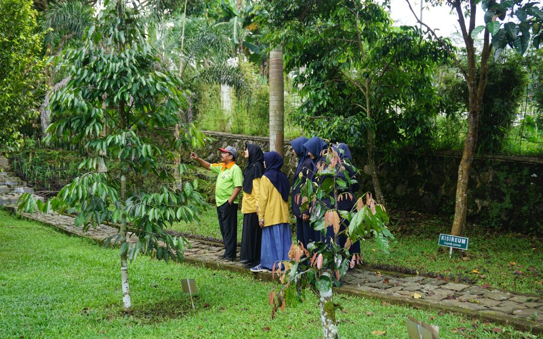Sejumlah mahasiswi mengunjungi Taman Keanekaragaman Hayati di Desa Kemutug Lor, Baturraden, Banyumas, Rabu (21:2).