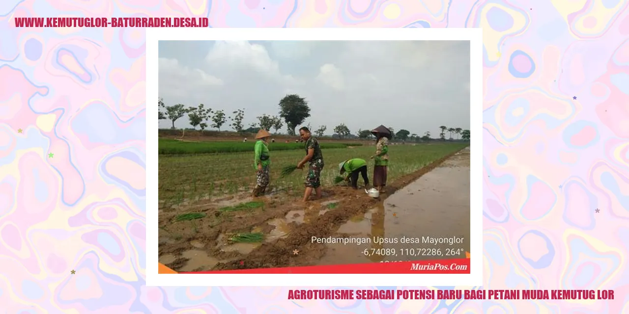Potensi Wisata Pertanian di Kemutug Lor