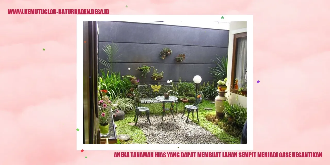Tanaman Hias