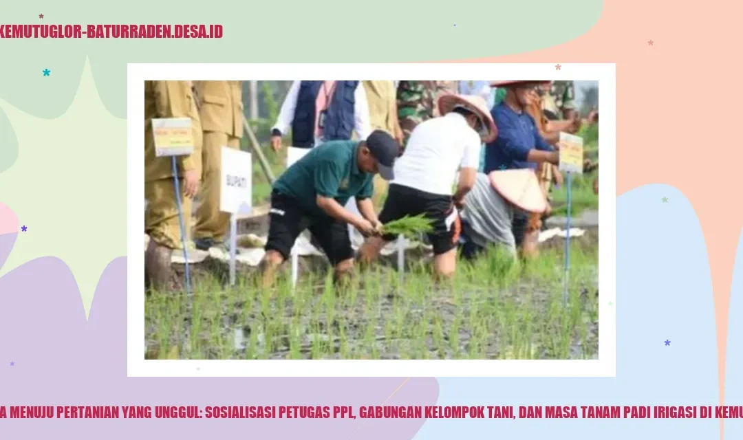 Bersama Menuju Pertanian yang Unggul: Sosialisasi Petugas PPL, Gabungan Kelompok Tani, dan Masa Tanam Padi Irigasi di Kemutug Lor