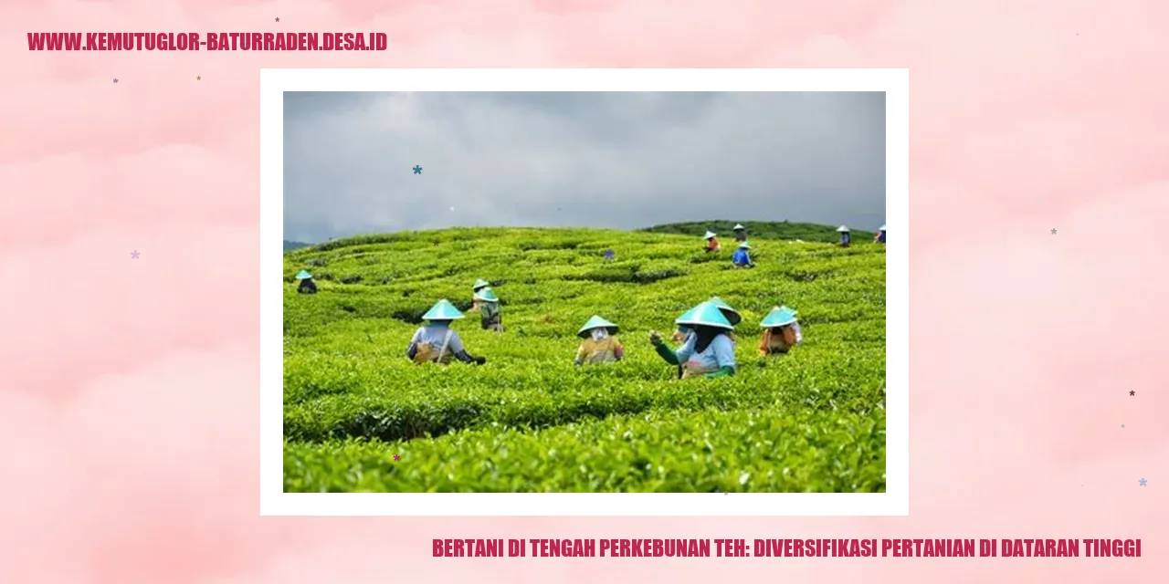 Bertani di Tengah Perkebunan Teh: Diversifikasi Pertanian di Dataran Tinggi