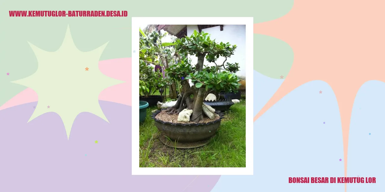 Budidaya Bonsai