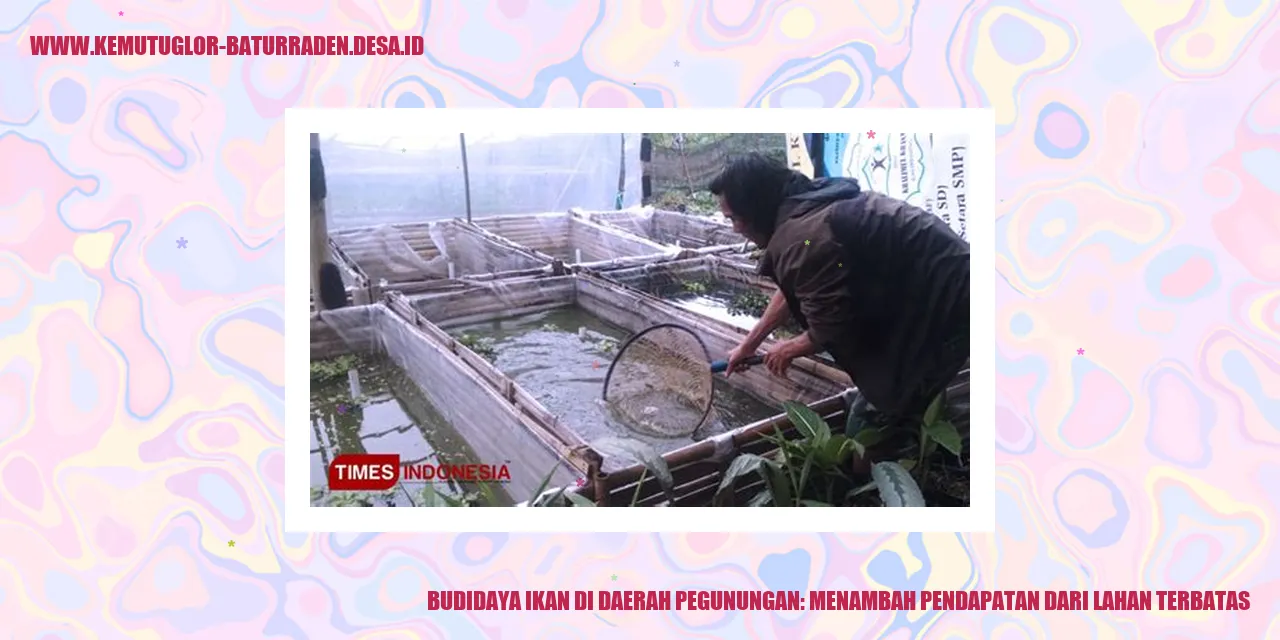 Budidaya Ikan di Daerah Pegunungan: Menambah Pendapatan dari Lahan Terbatas