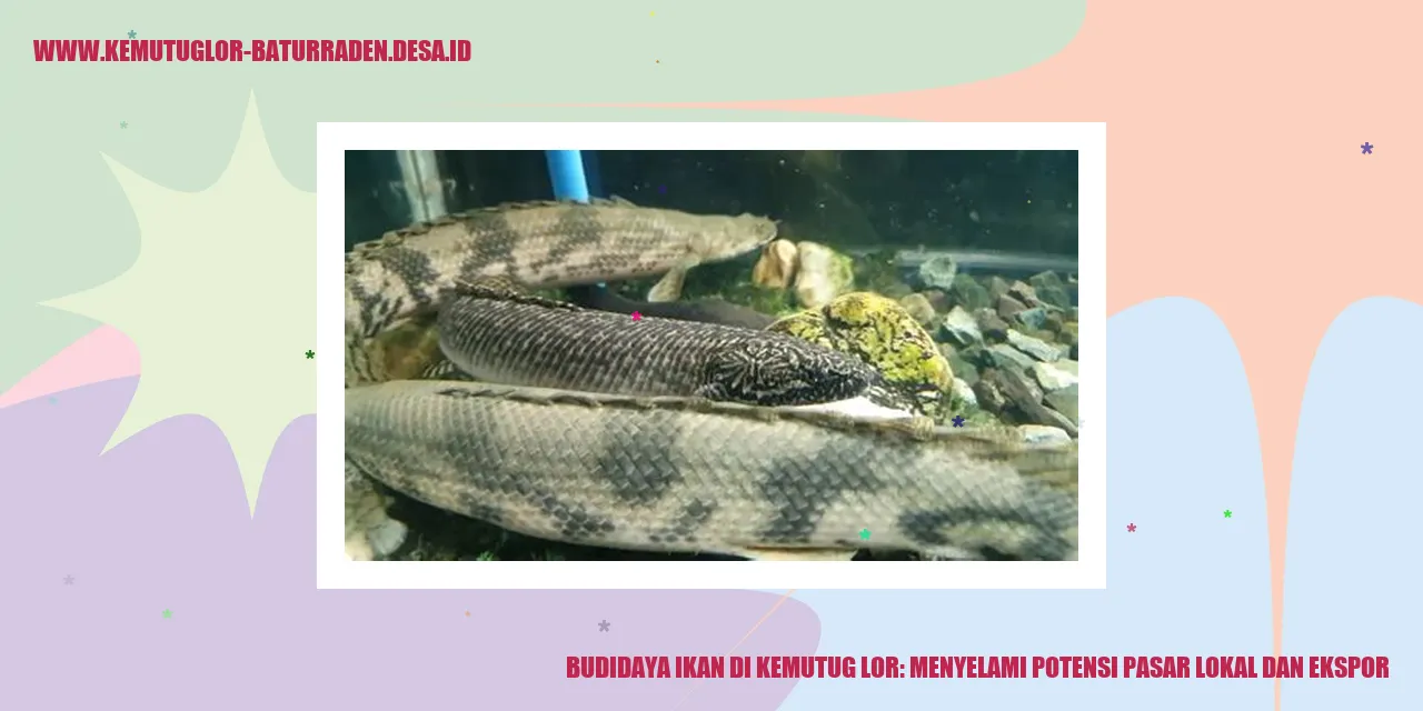 Budidaya Ikan di Kemutug Lor