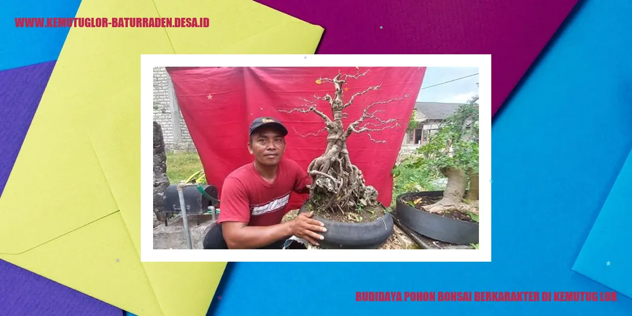 Budidaya Pohon Bonsai Berkarakter di Kemutug Lor
