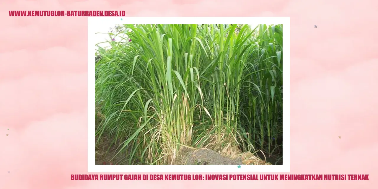 Desa Kemutug Lor
