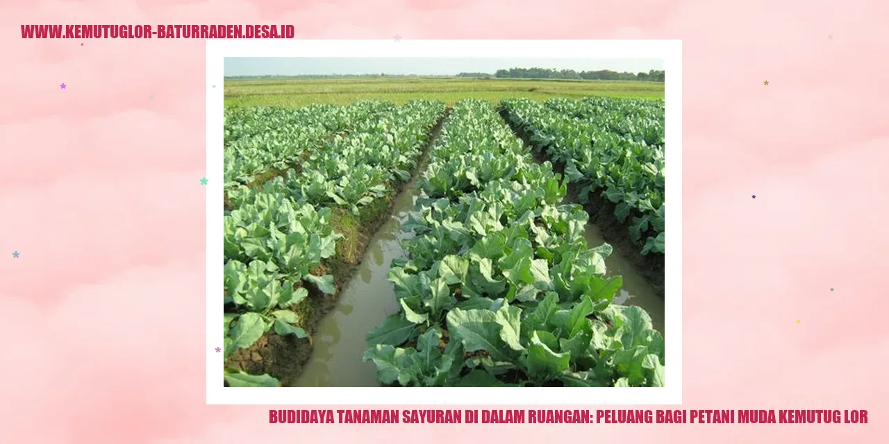 Peluang Budidaya Tanaman Sayuran di Desa Kemutug Lor