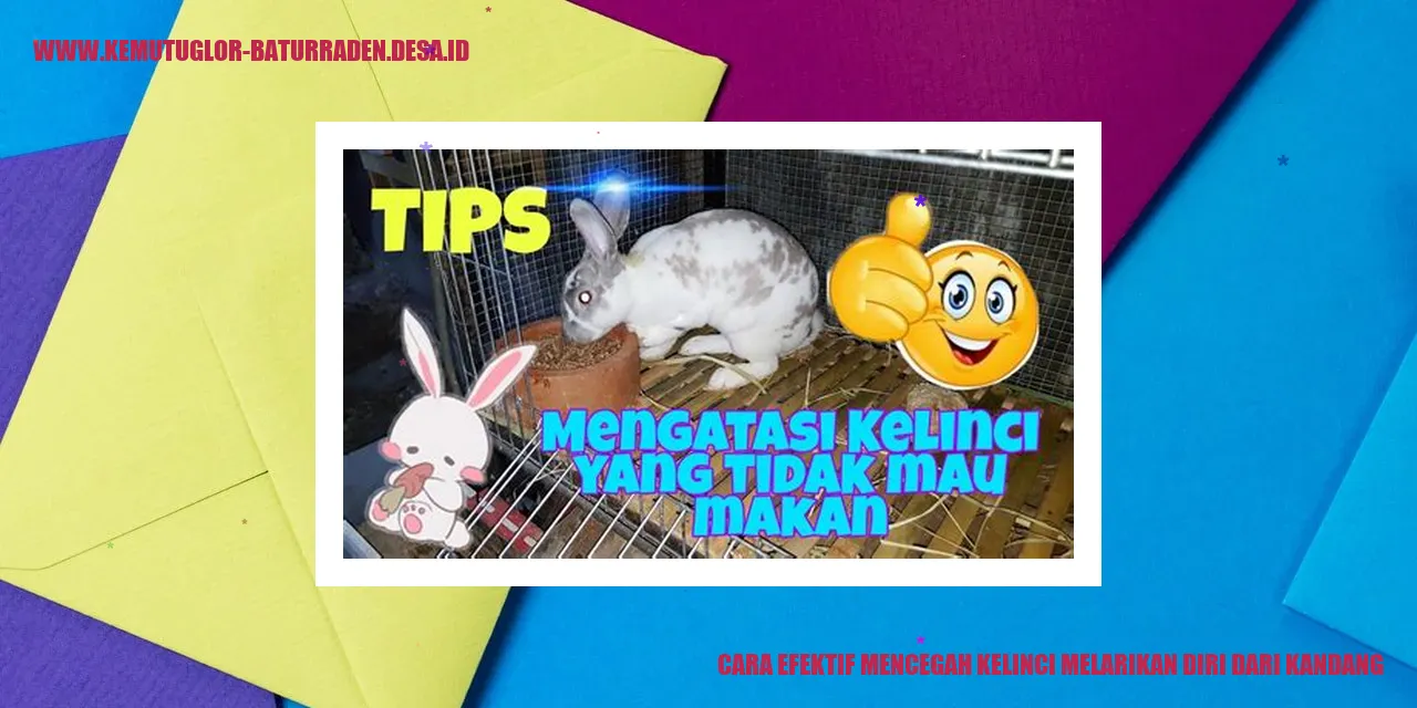 Kandang Kelinci