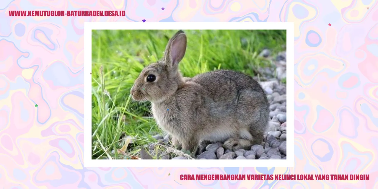 Gambar 1