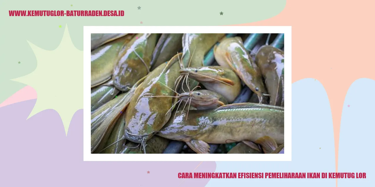 Pemeliharaan Ikan di Kemutug Lor