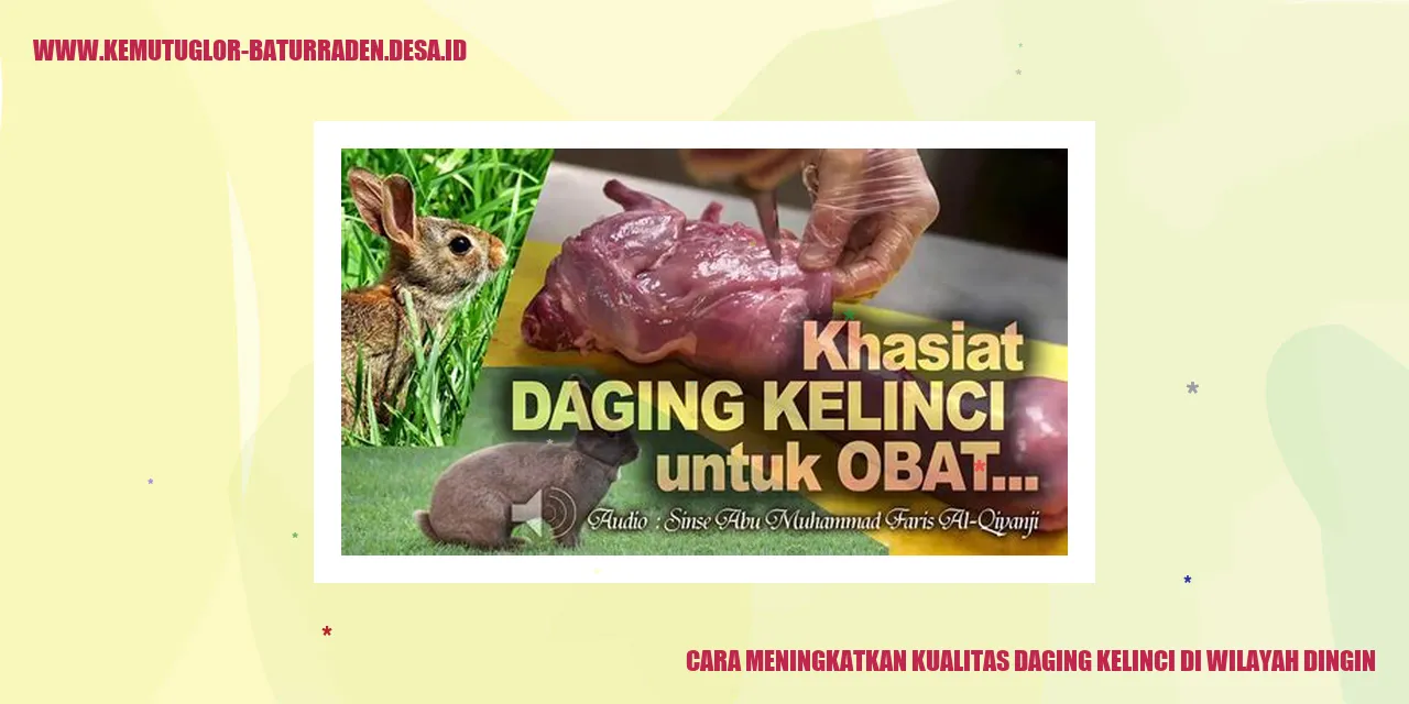 Cara Meningkatkan Kualitas Daging Kelinci di Wilayah Dingin