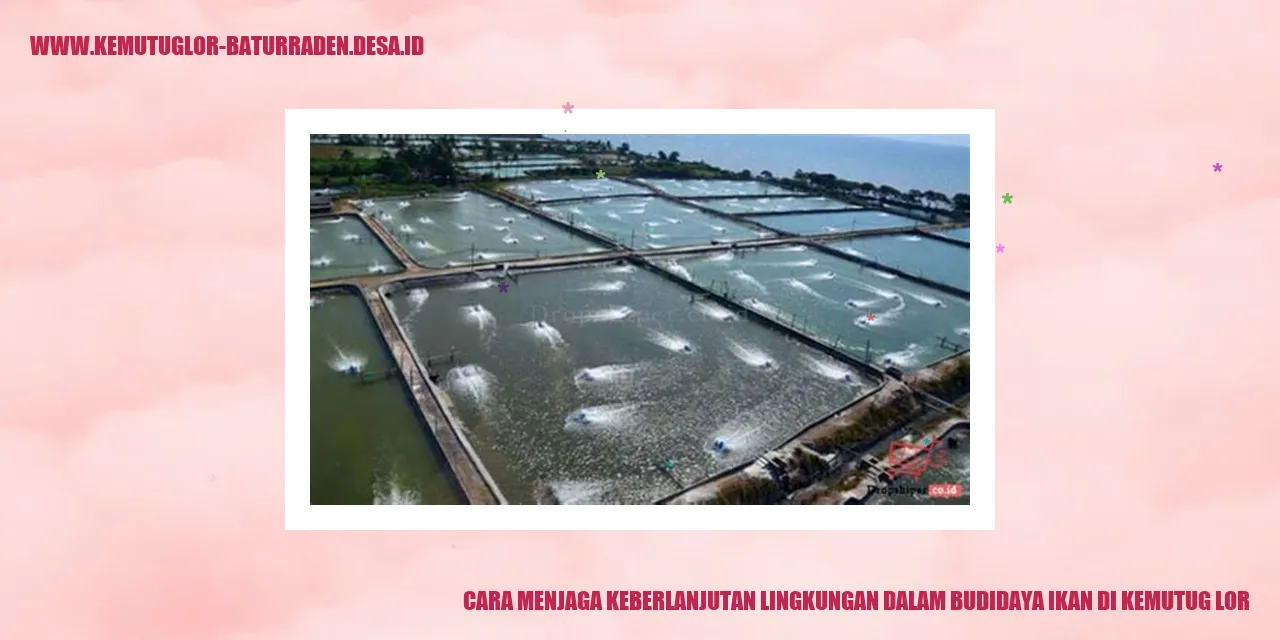 Cara Menjaga Keberlanjutan Lingkungan dalam Budidaya Ikan di Kemutug Lor