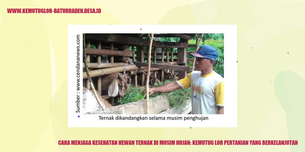 Cara Menjaga Kesehatan Hewan Ternak di Musim Hujan: Kemutug Lor Pertanian yang Berkelanjutan