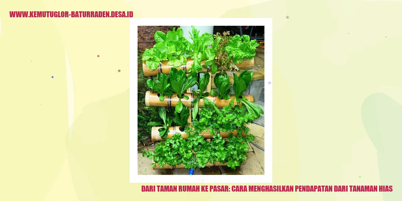 Tanaman Hias