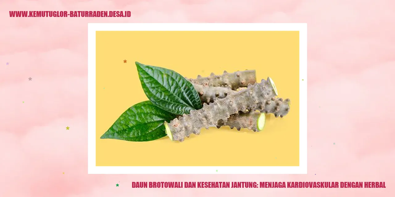Daun Brotowali