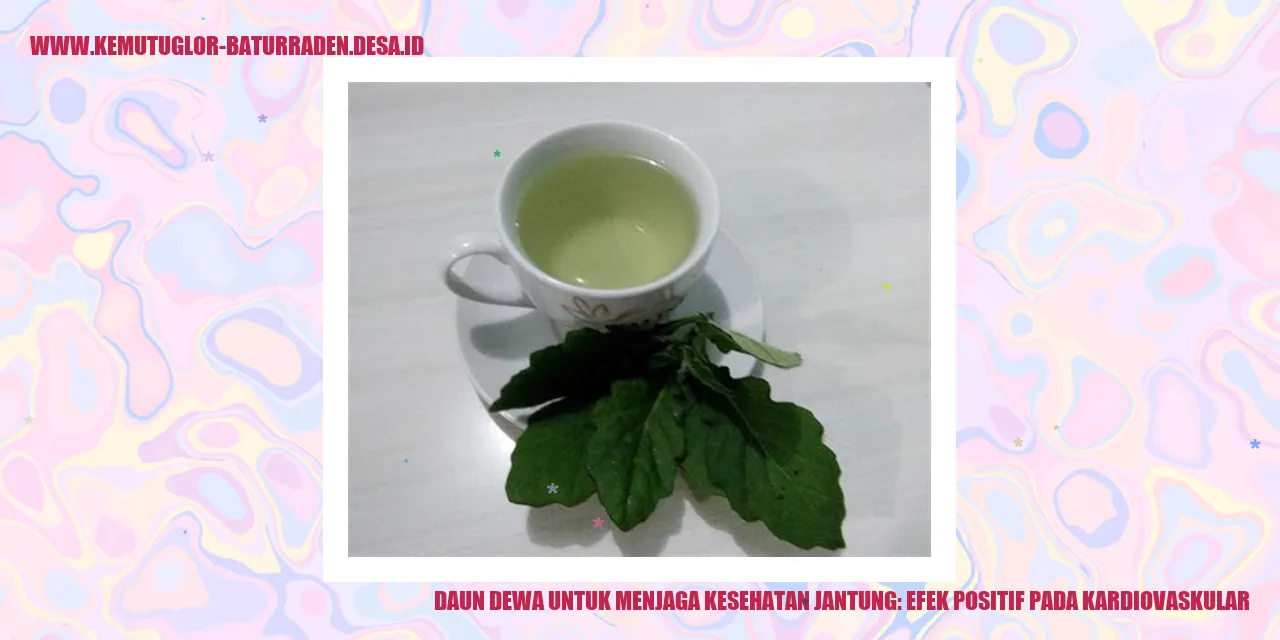 Daun Dewa untuk Menjaga Kesehatan Jantung: Efek Positif pada Kardiovaskular