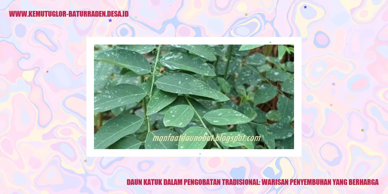Daun Katuk dalam Pengobatan Tradisional: Warisan Penyembuhan yang Berharga