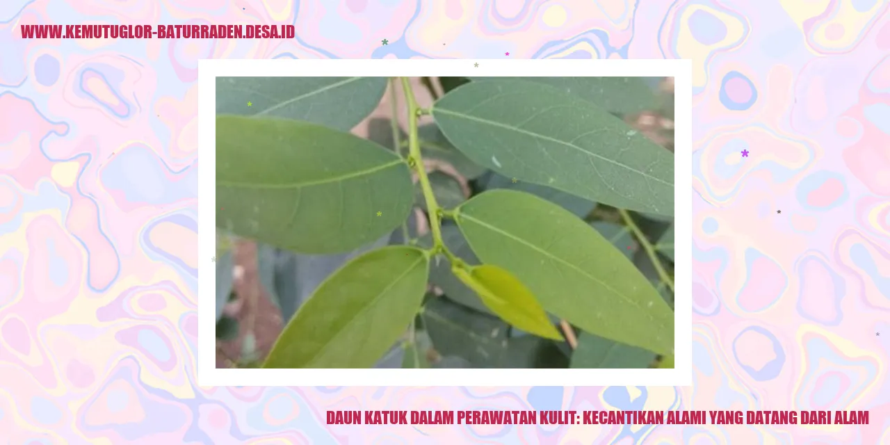 Daun Katuk dalam Perawatan Kulit: Kecantikan Alami yang Datang dari Alam