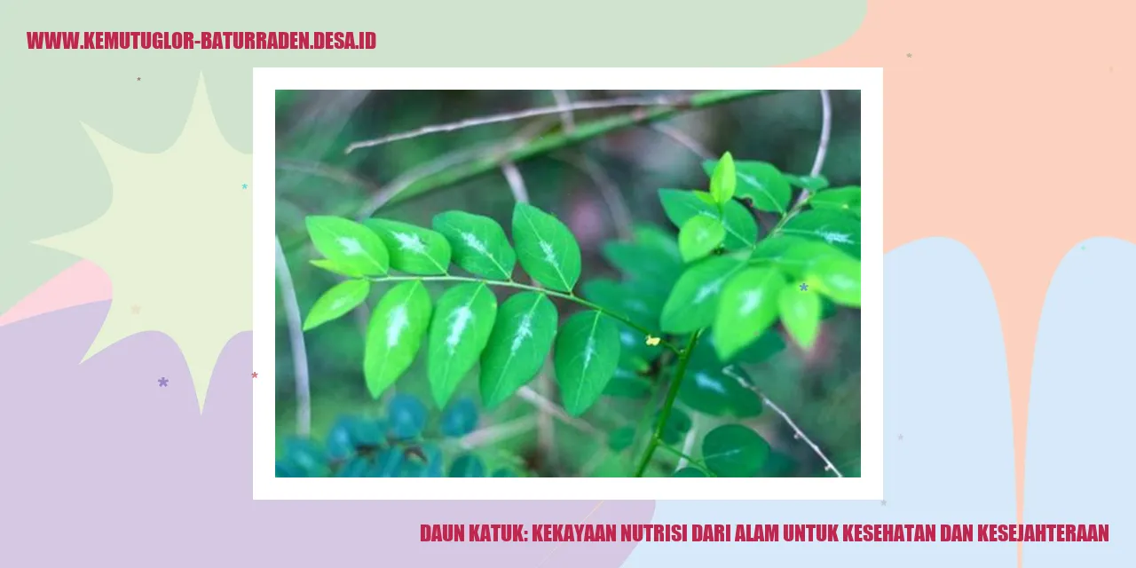 Daun Katuk: Kekayaan Nutrisi dari Alam untuk Kesehatan dan Kesejahteraan