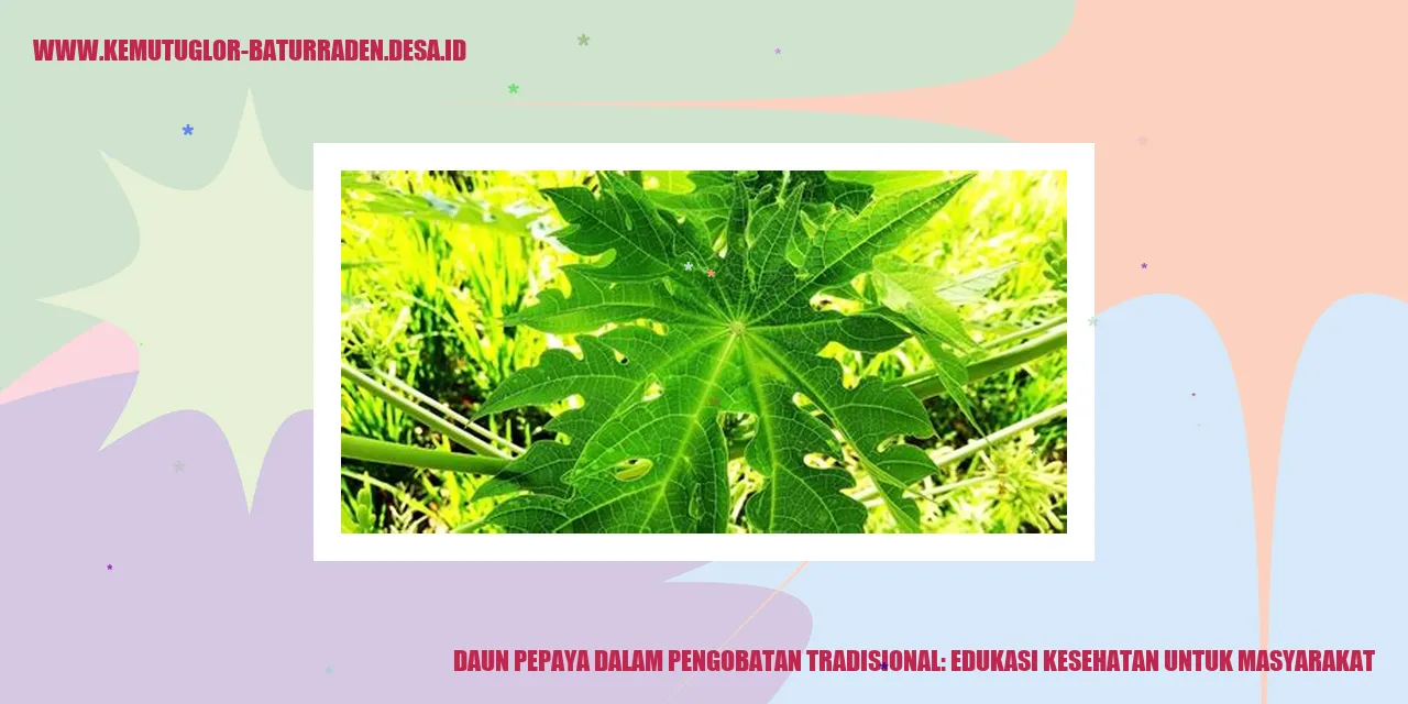 Daun Pepaya dalam Pengobatan Tradisional: Edukasi Kesehatan untuk Masyarakat