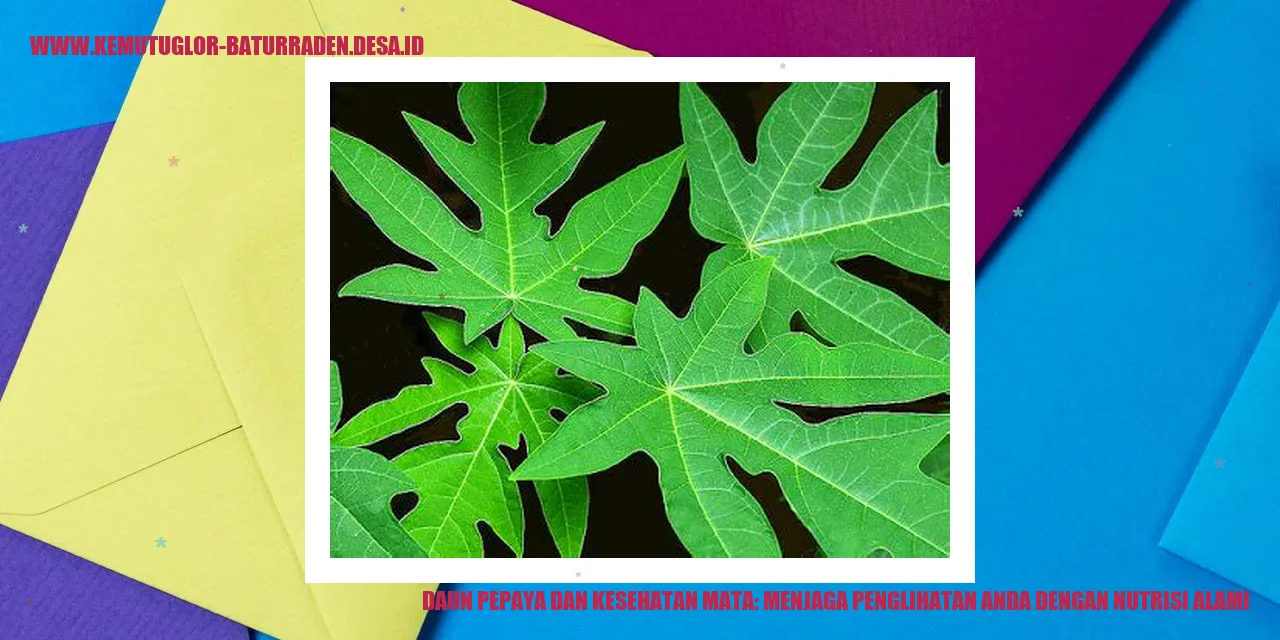 Gambar Daun Pepaya