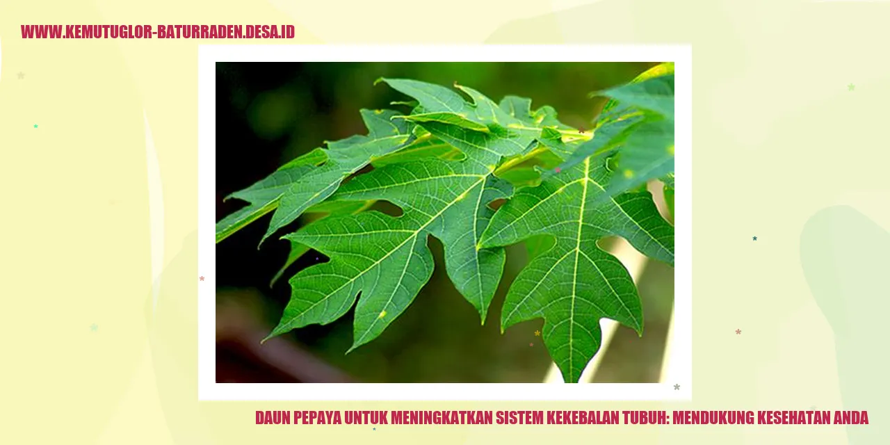 Daun Pepaya untuk Meningkatkan Sistem Kekebalan Tubuh: Mendukung Kesehatan Anda