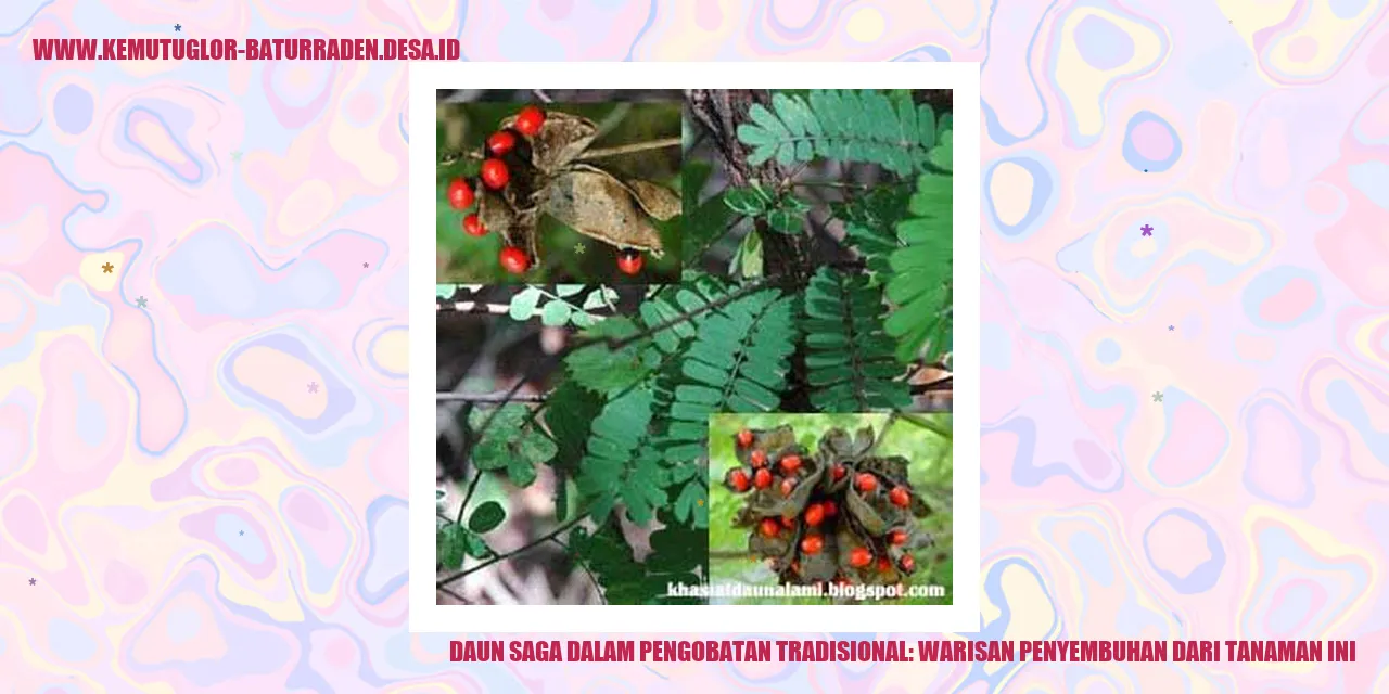 gambar daun saga
