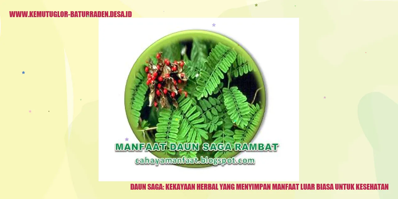Daun Saga: Kekayaan Herbal yang Menyimpan Manfaat Luar Biasa untuk Kesehatan