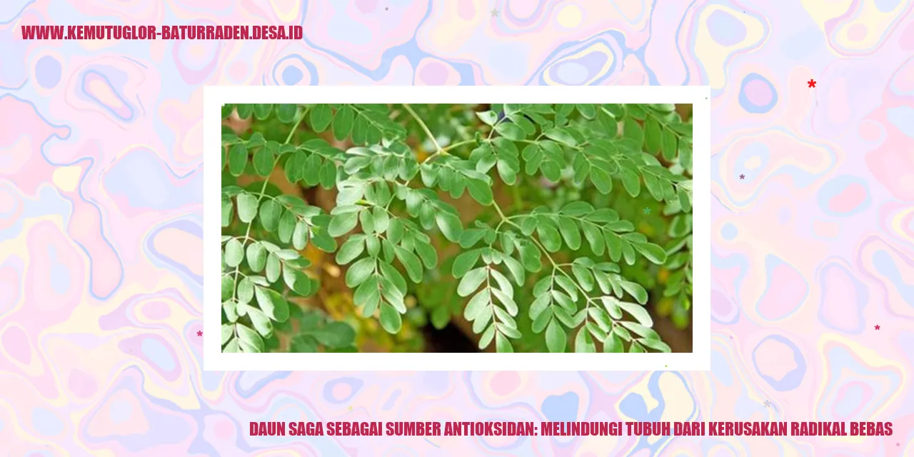 Daun Saga sebagai Sumber Antioksidan: Melindungi Tubuh dari Kerusakan Radikal Bebas
