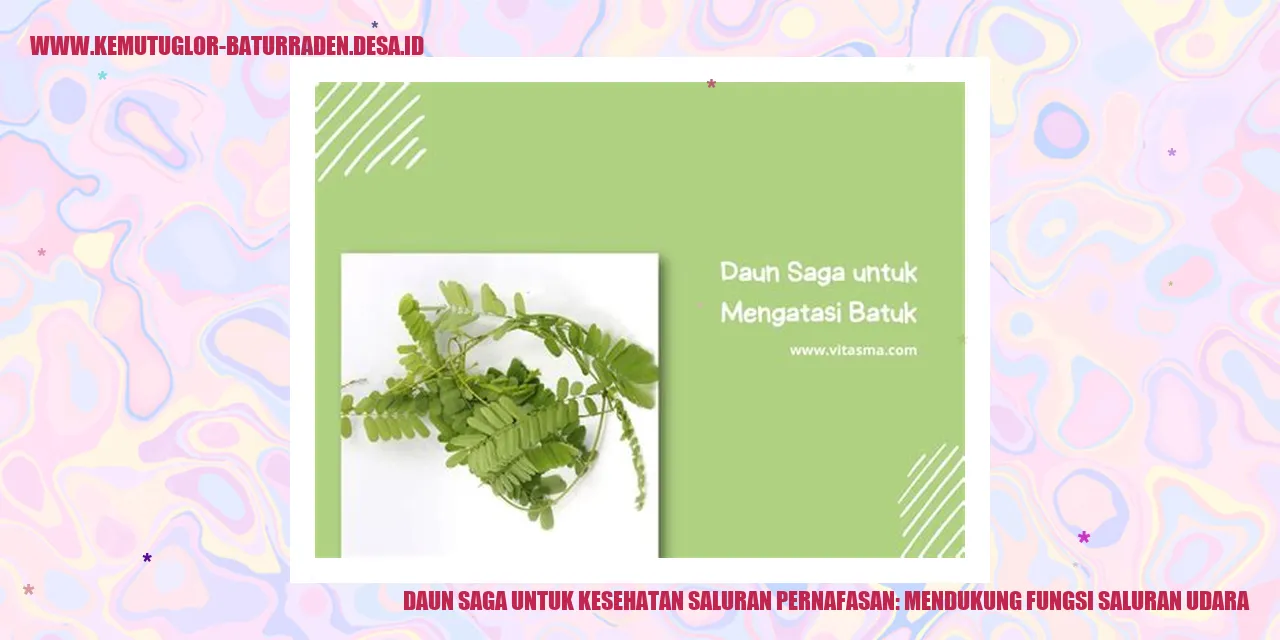 Daun Saga untuk Kesehatan Saluran Pernafasan: Mendukung Fungsi Saluran Udara