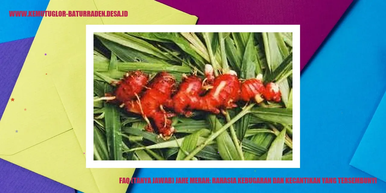 Jahe Merah