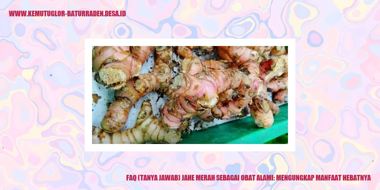 Jahe Merah