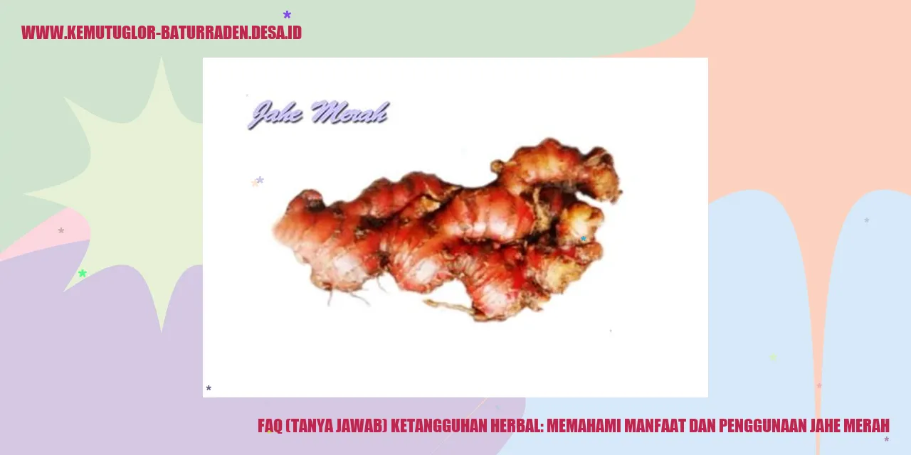 Jahe Merah