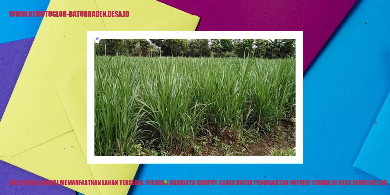 Rumput Gajah