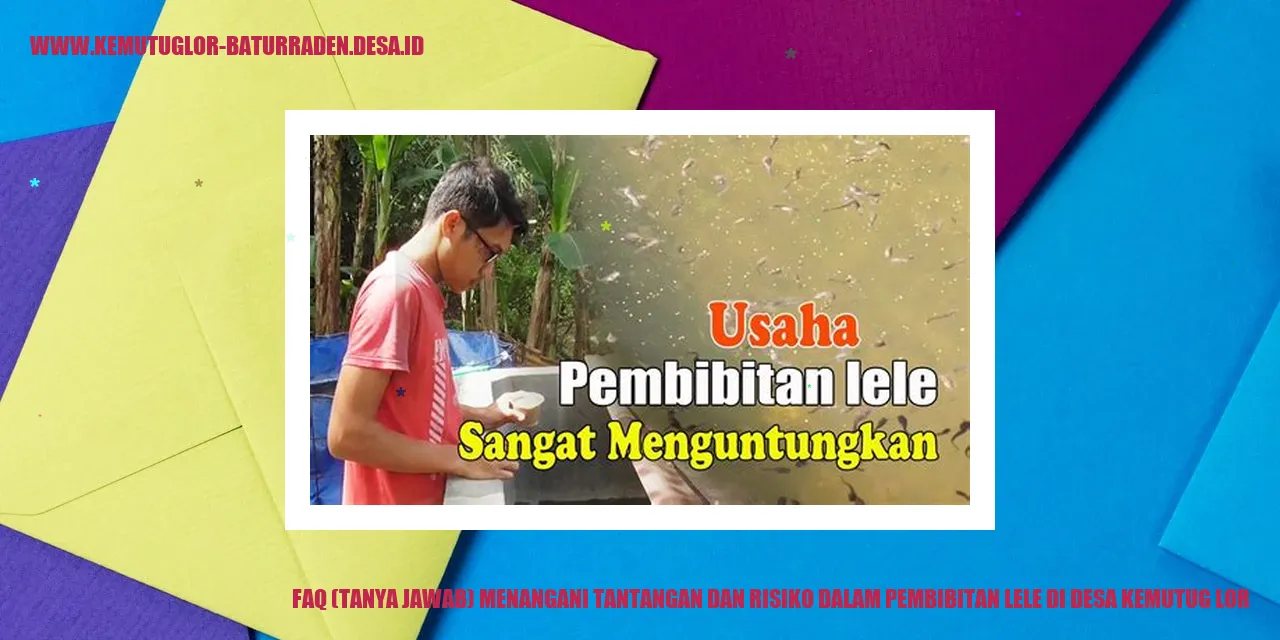 Tantangan dan Risiko dalam Pembibitan Lele