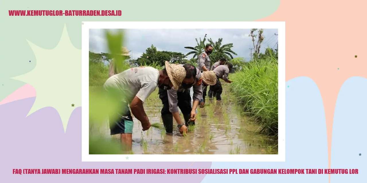 Gambar Ilustrasi