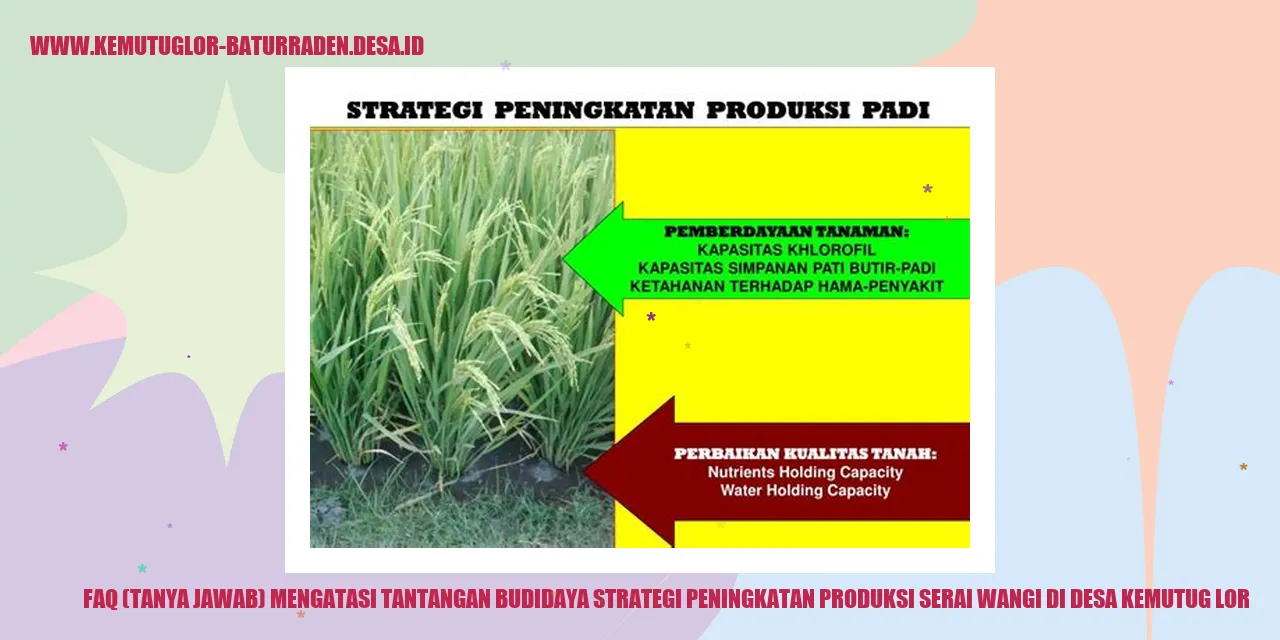 Gambar Serai Wangi