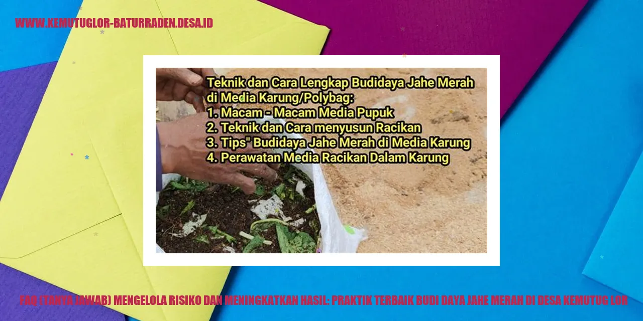 FAQ (Tanya Jawab) Mengelola Risiko dan Meningkatkan Hasil: Praktik Terbaik Budi Daya Jahe Merah di Desa Kemutug Lor