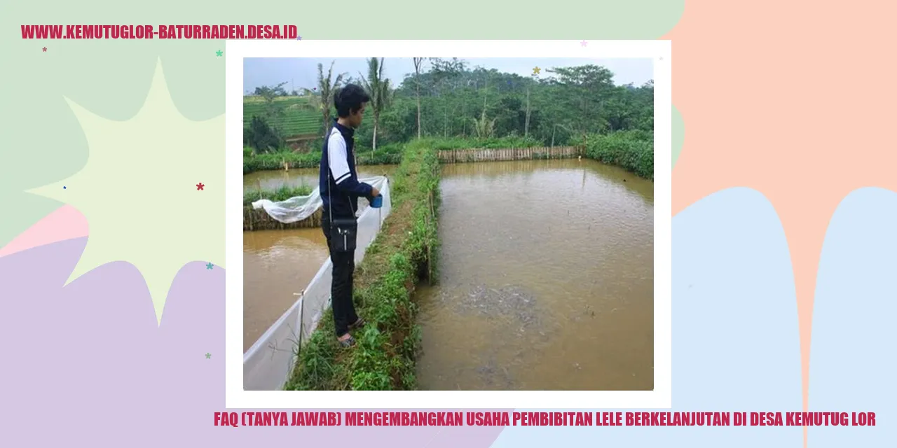 Gambar Pembibitan Lele di Desa Kemutug Lor