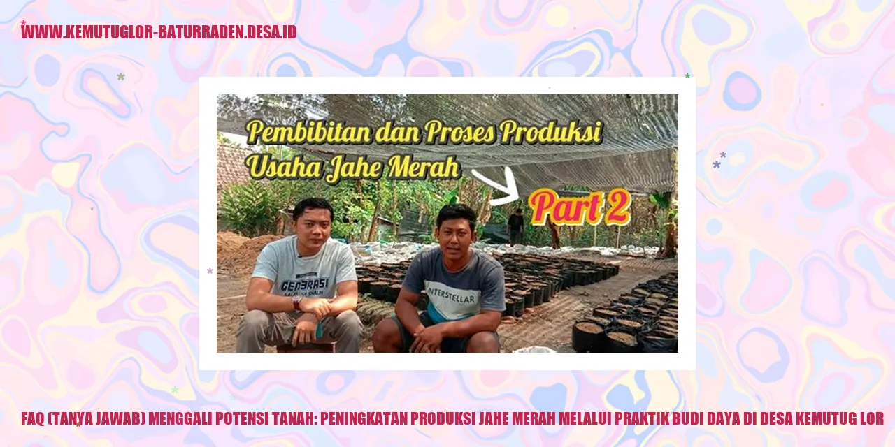 Ilustrasi Jahe Merah di Desa Kemutug Lor
