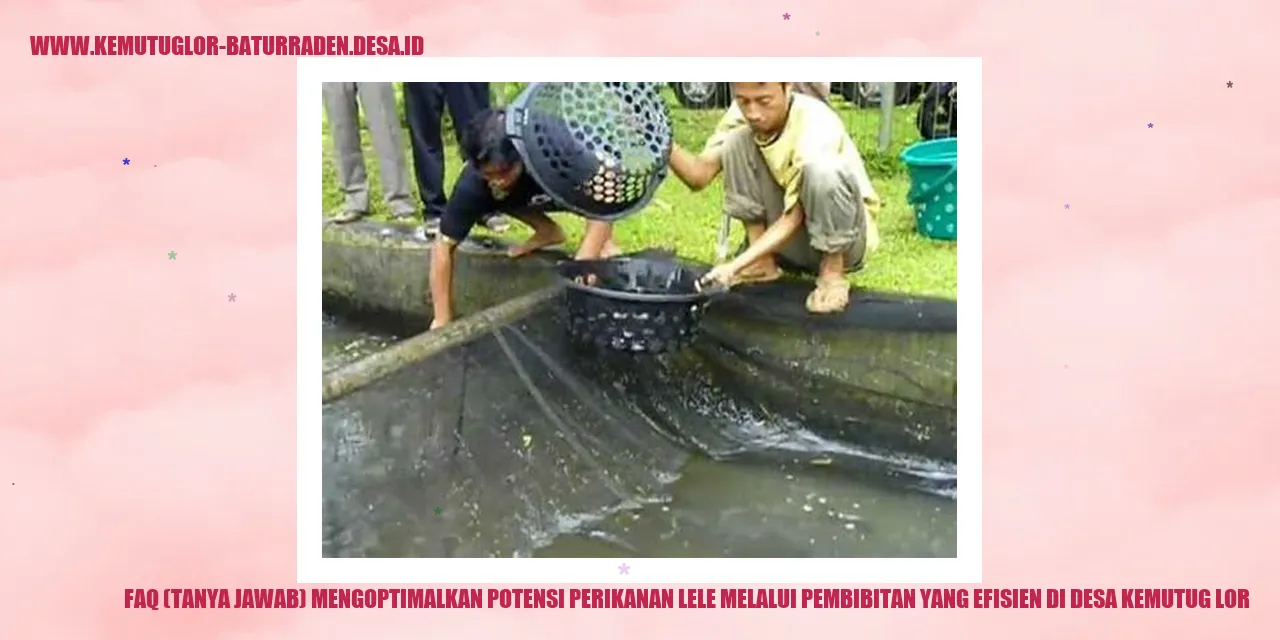Pembibitan Lele