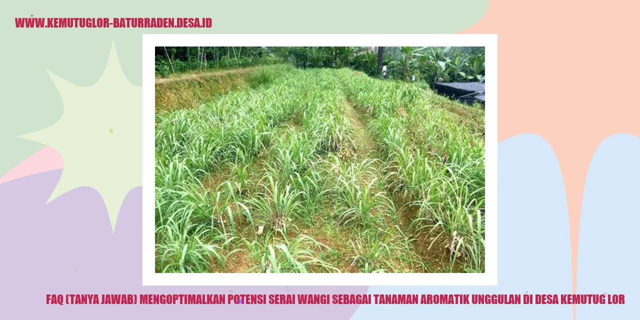 Serai Wangi