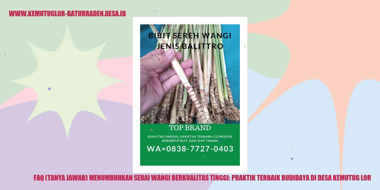 Budidaya Serai Wangi