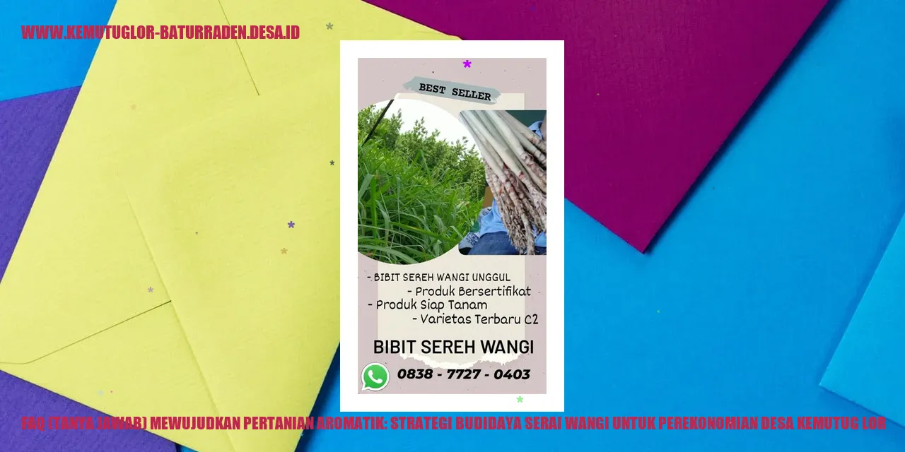 Foto pertanian serai wangi
