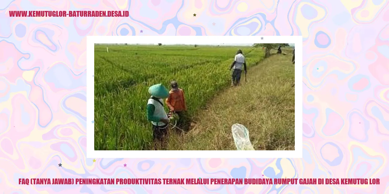 Gambar FAQ