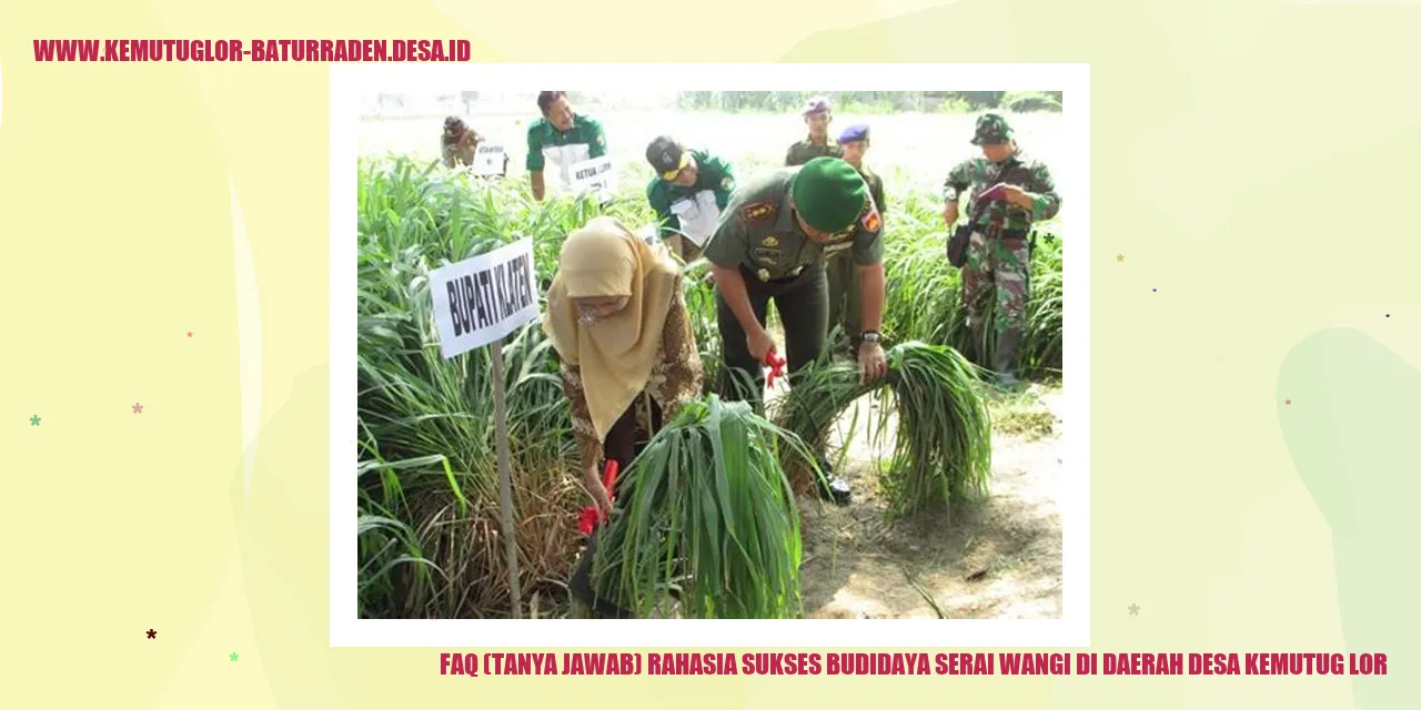 FAQ (Tanya Jawab) Rahasia Sukses Budidaya Serai Wangi di Daerah desa kemutug lor