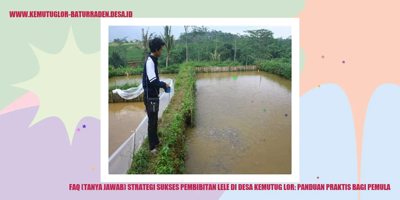 FAQ (Tanya Jawab) Strategi Sukses Pembibitan Lele di desa kemutug lor: Panduan Praktis bagi Pemula