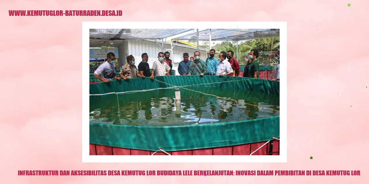 Infrastruktur dan Aksesibilitas Desa Kemutug Lor Budidaya Lele Berkelanjutan: Inovasi dalam Pembibitan di desa kemutug lor