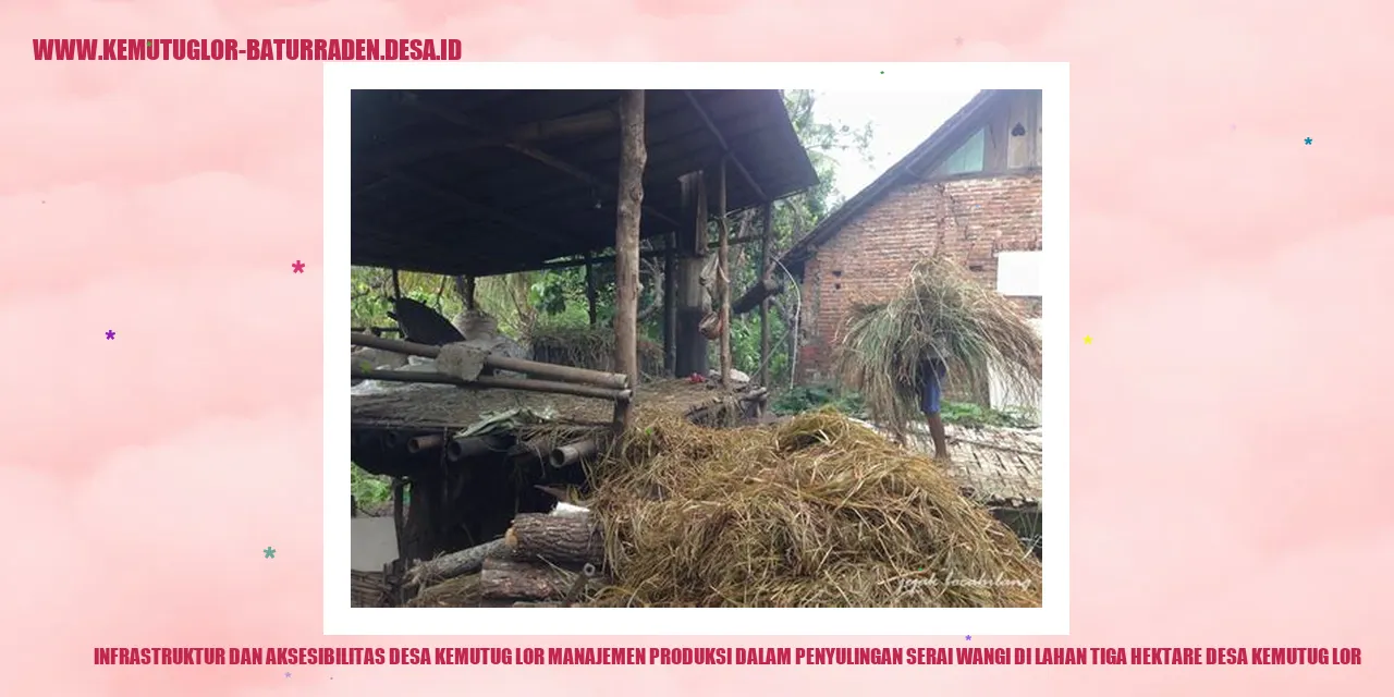 Infrastruktur dan Aksesibilitas Desa Kemutug Lor Manajemen Produksi dalam Penyulingan Serai Wangi di Lahan Tiga Hektare Desa Kemutug Lor