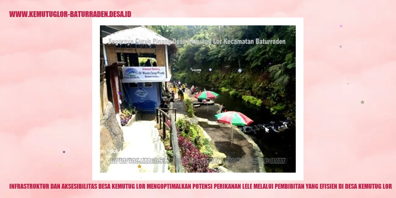 Infrastruktur dan Aksesibilitas Desa Kemutug Lor Mengoptimalkan Potensi Perikanan Lele melalui Pembibitan yang Efisien di desa kemutug lor